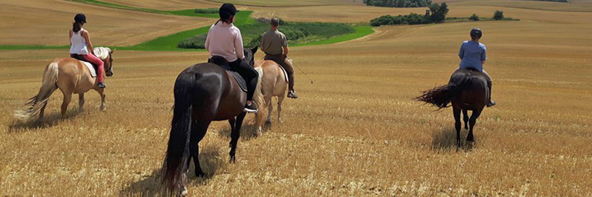 Ausflüge hoch zu Ross