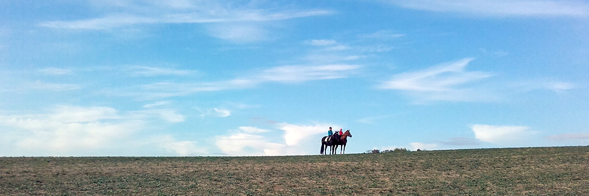 Reiten für die Seele